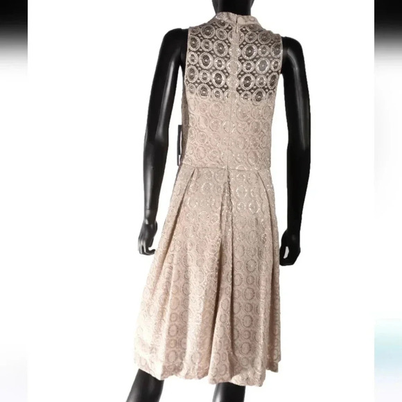 Cynthia Steffe Lace Fit & Flare Dress - Picture 7 of 8